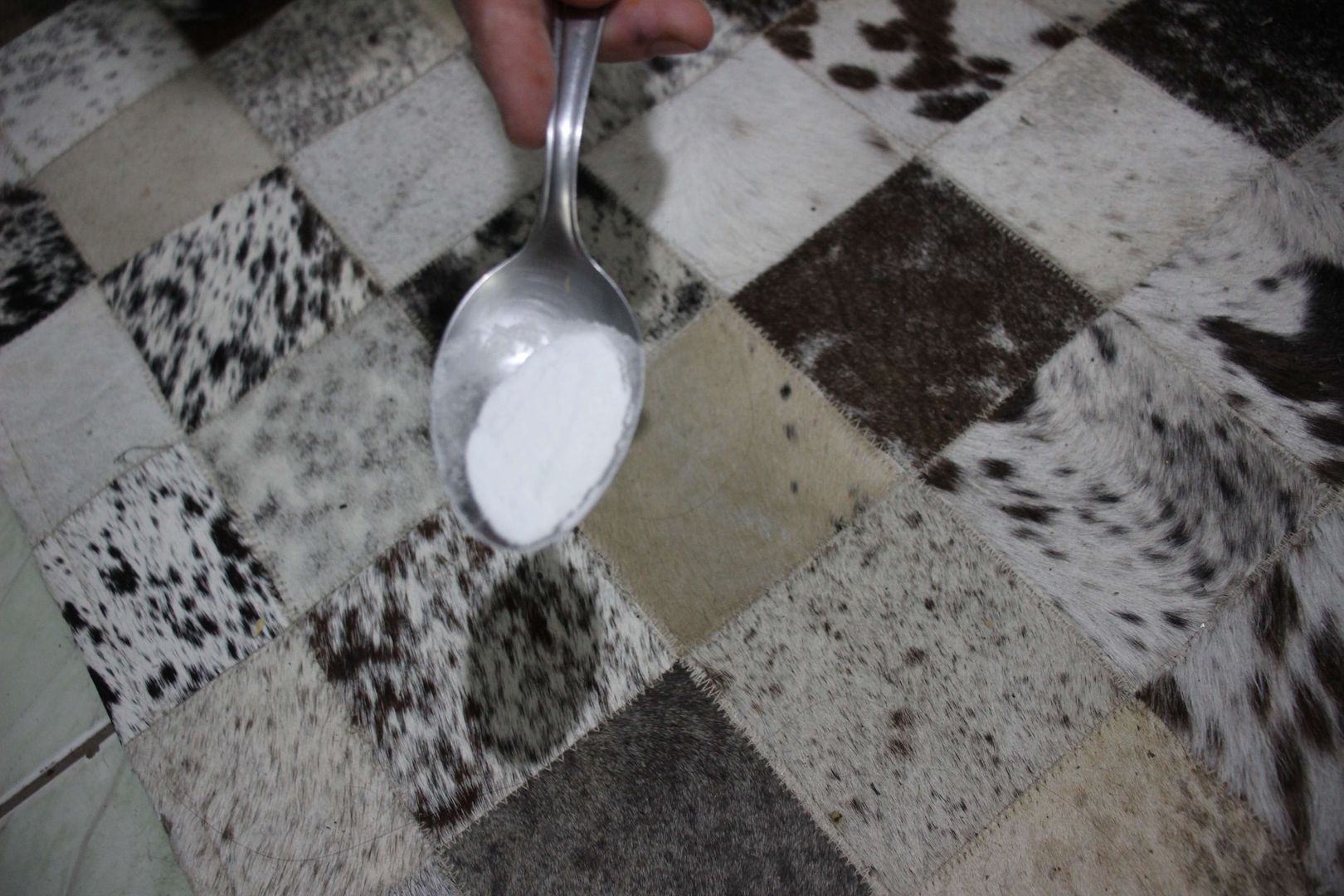 produto para limpar carpetes a seco: 5 passos simples