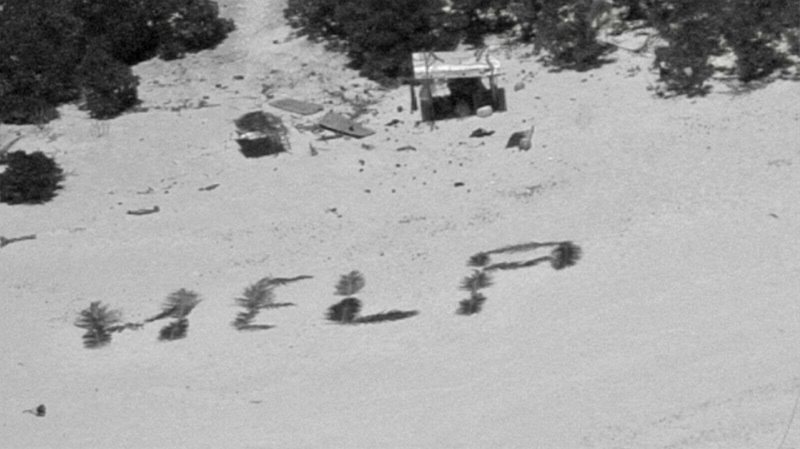 missing men write 'help' with palm fronds, rescued by us rescuers