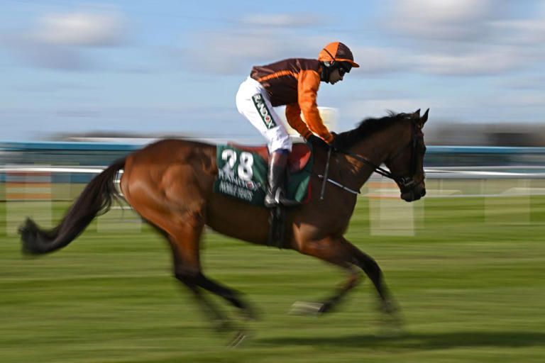 How many horses have died at the Grand National ahead of 2024 race?