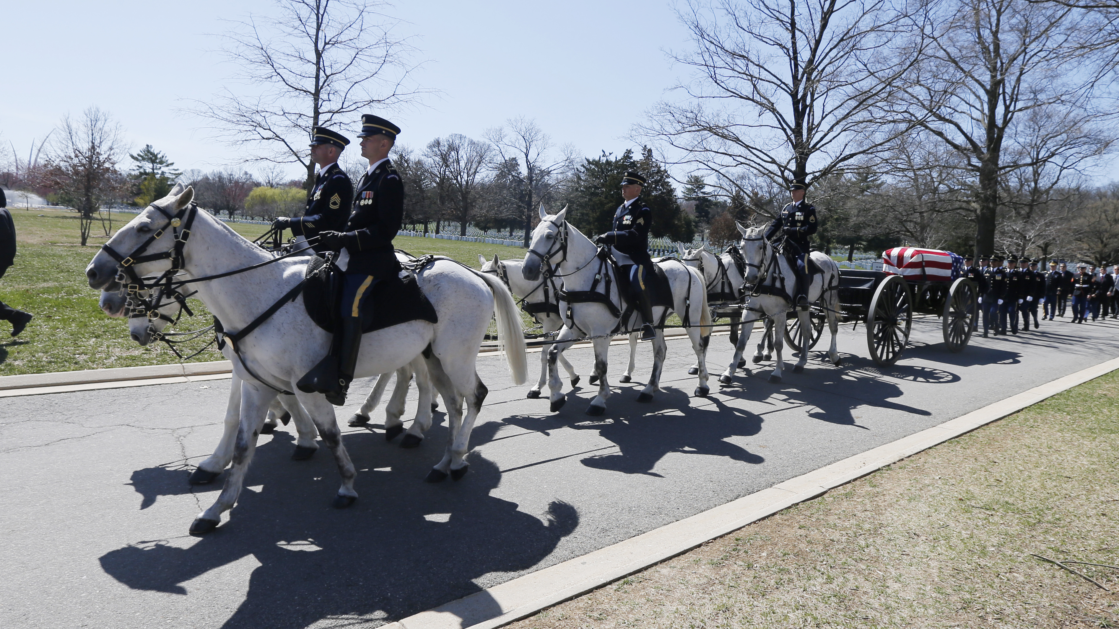 the return of horse-drawn caissons to arlington national cemetery is delayed for at least months