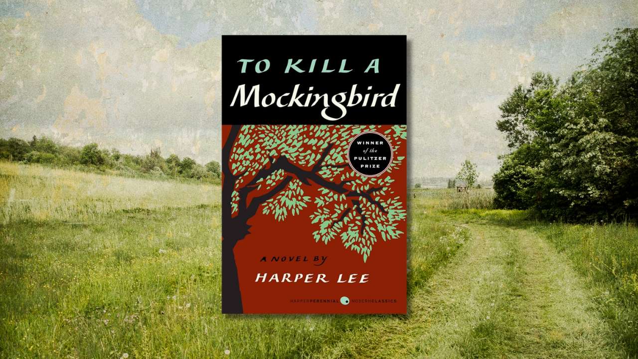 <p>Harper Lee’s <em>To Kill a Mockingbird</em> is a timeless novel that continues to be poignant and significant. Its commentary on prejudice and the Civil Rights movement is still relevant.</p><p>The story wonderfully explains the importance of social justice and standing up for your own beliefs and those who can’t stand up for themselves. Even controversial language in the book is important, showing school children how such words can evolve and impact society.</p>