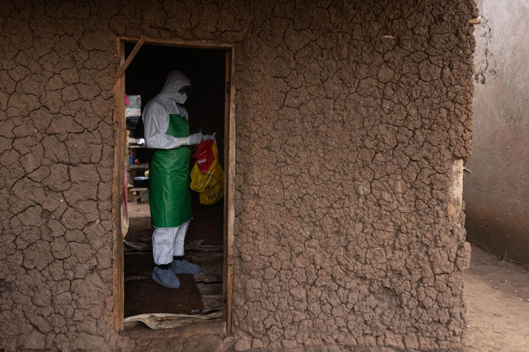 El rastro del ébola