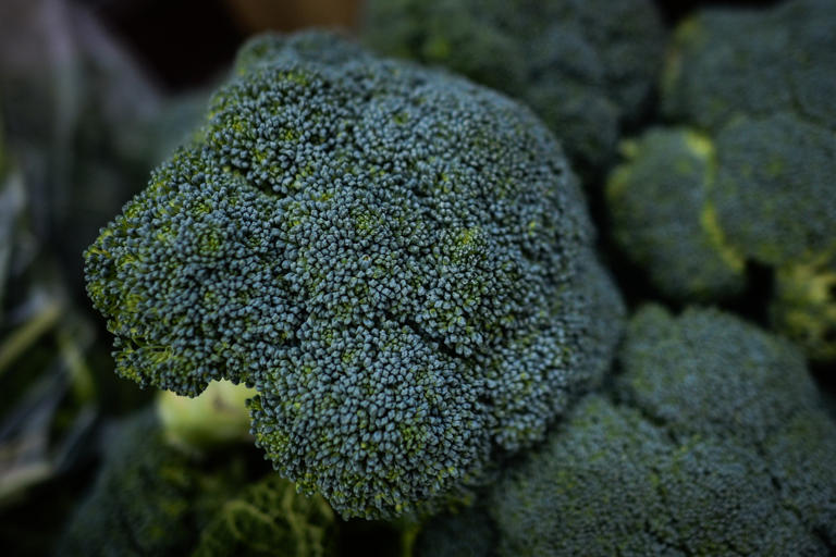 Broccoli Recall as LifeThreatening Warning Issued