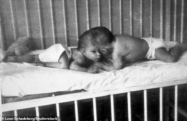 world's oldest conjoined twins lori and george schappell dead at 62