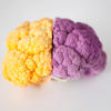 Brain Boosters: 12 Memory-Enhancing Foods for Your Cognitive Health<br>