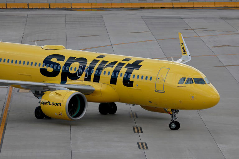 Spirit Airlines worker on ‘power trip’ caught on video hurling the F ...