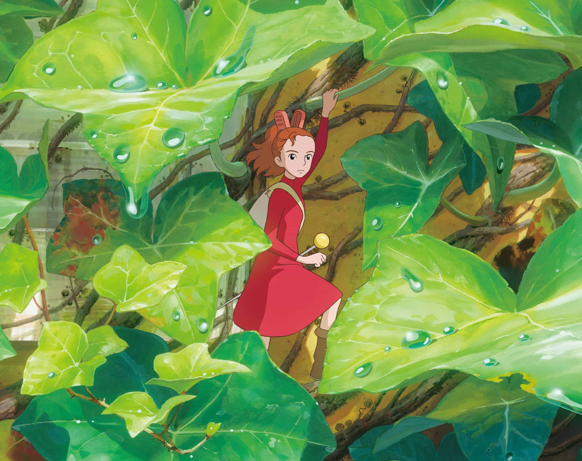 <p>"Arrietty : Le Petit Monde des Chapardeurs" , dont le scénario a été écrit par Miyazaki, a été réalisé par Hiromasa Yonebayashi, qui est devenu le plus jeune réalisateur du Studio Ghibli à l'âge de 37 ans. La sortie en langue anglaise a marqué les débuts officiels au cinéma de Tom Holland, qui a donné sa voix à un personnage principal.</p><p><a href="https://www.msn.com/fr-fr/community/channel/vid-7xx8mnucu55yw63we9va2gwr7uihbxwc68fxqp25x6tg4ftibpra?cvid=94631541bc0f4f89bfd59158d696ad7e">Suivez-nous et accédez tous les jours à du contenu exclusif</a></p>