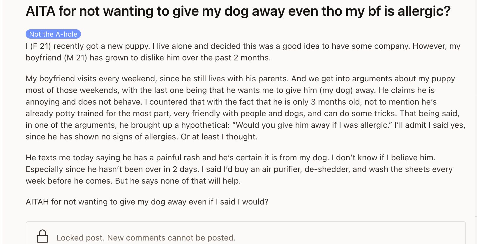 mujer no quiere dar en adopción a su perro a pesar de que su novio es alérgico