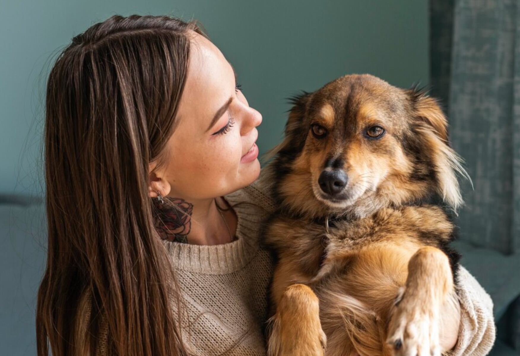 mujer no quiere dar en adopción a su perro a pesar de que su novio es alérgico
