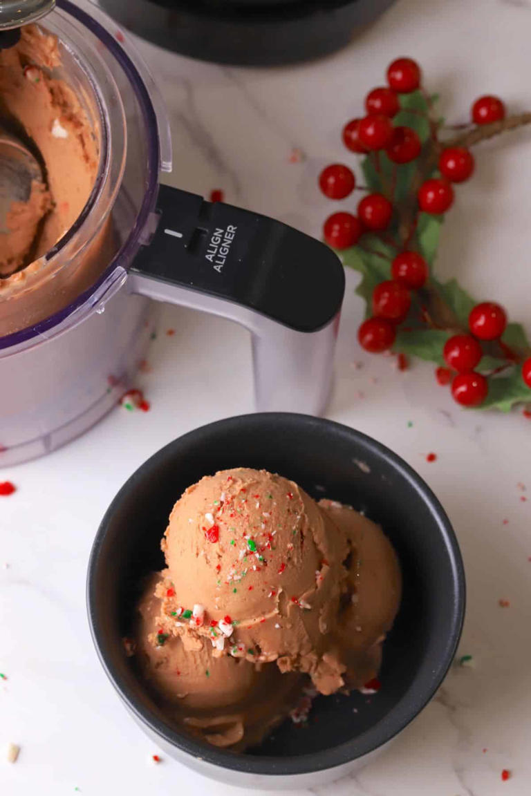 Ninja Creami Sugar Free Peppermint Mocha Ice Cream