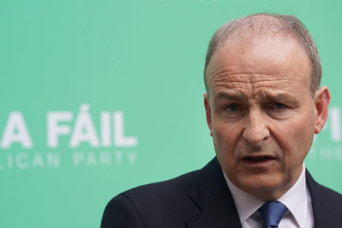 irish deputy premier rejects ‘absurd’ ambassador comments over palestine