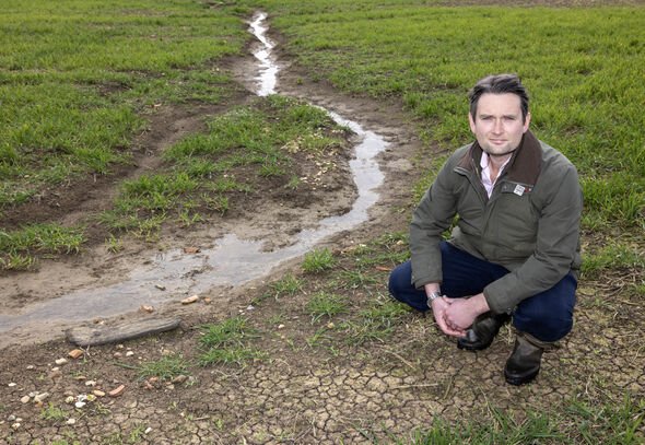my farm will lose £300,000 in first-ever year without harvest - it's a wake-up call