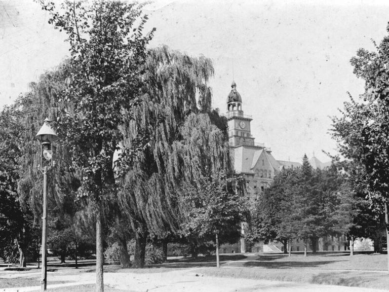 Next Generation of ‘Old Willow’ to Carry on 165-Year Legacy at Penn State