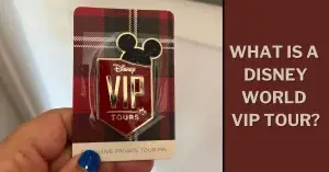 Walt Disney World VIP Tour