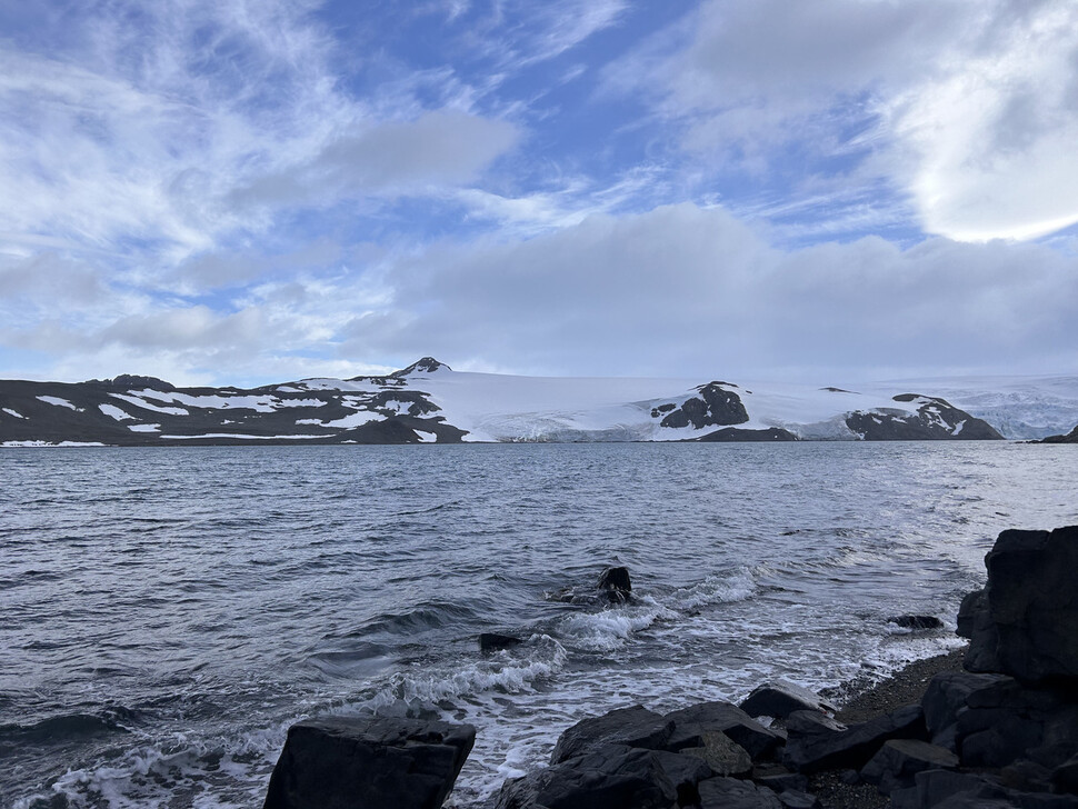 예외 없는 온난화…마냥 반가울 수 없는 ‘남극의 꽃’