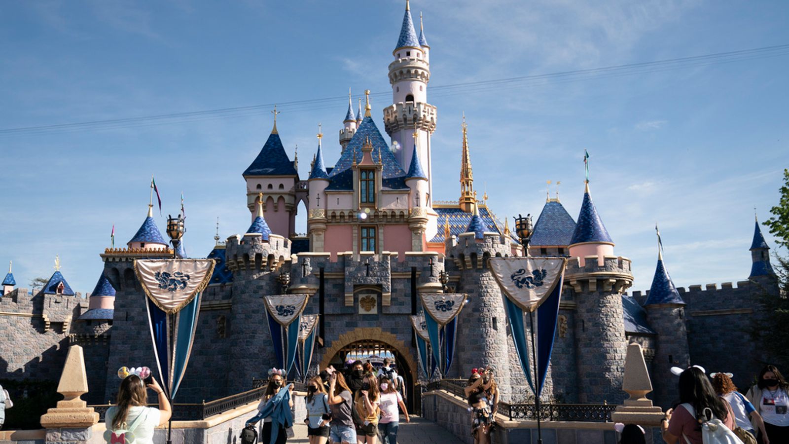 disney cracks down on rules misused to skip queues