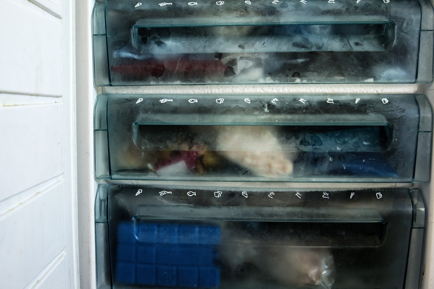 frys dig til iskolde besparelser på madbudgettet