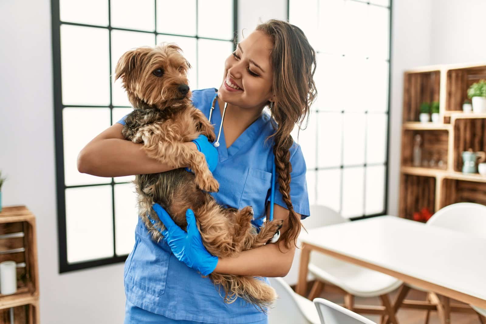 <p class="wp-caption-text">Image Credit: Shutterstock / Krakenimages.com</p>  <p><span>Know where the nearest vet is at your destination. It’s better to have it and not need it than the other way around.</span></p>