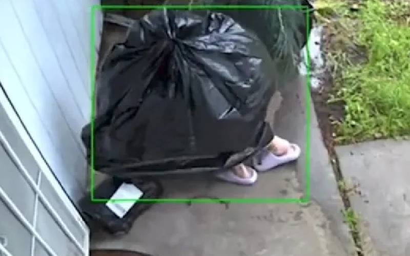 kapı eşiğindeki kargo paketini çalmak isteyen hırsız, çöp poşeti kılığına girdi
