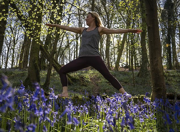 i tried the japanese art of forest bathing at a welsh wellness retreat