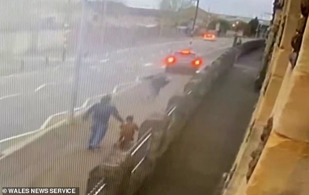 man is arrested after hit-and-run driver knocked down five-year-old