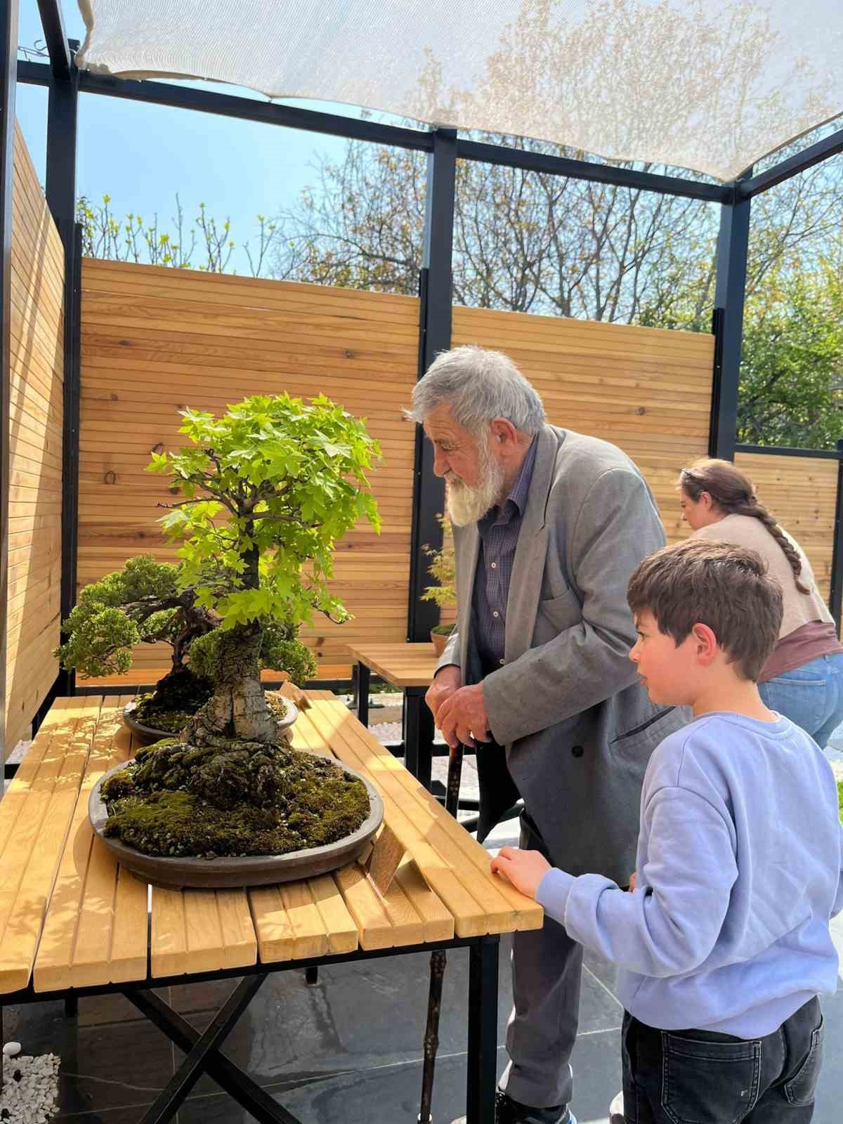 türkiye’nin ilk bonsai müzesi bayramda ilgi gördü
