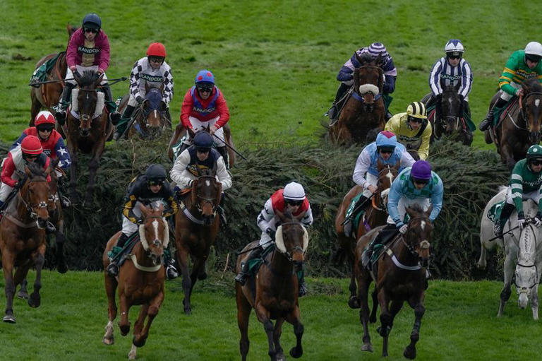 Grand National 2024 runners reduced as horse is withdrawn on morning of
