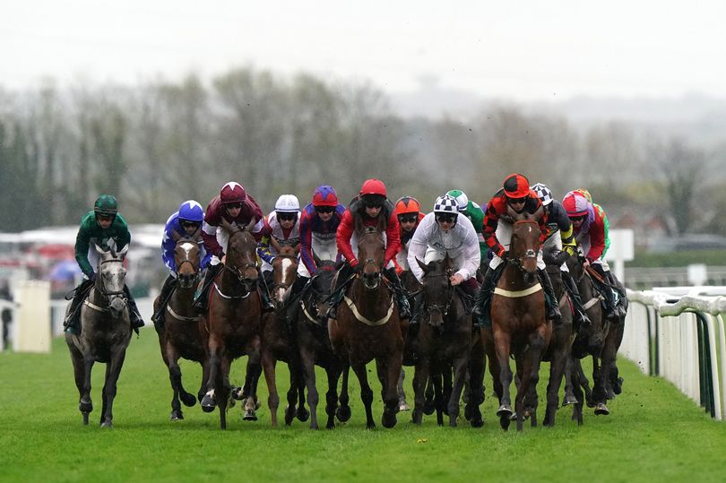 grand national 2024 runners reduced as horse is withdrawn on morning of race