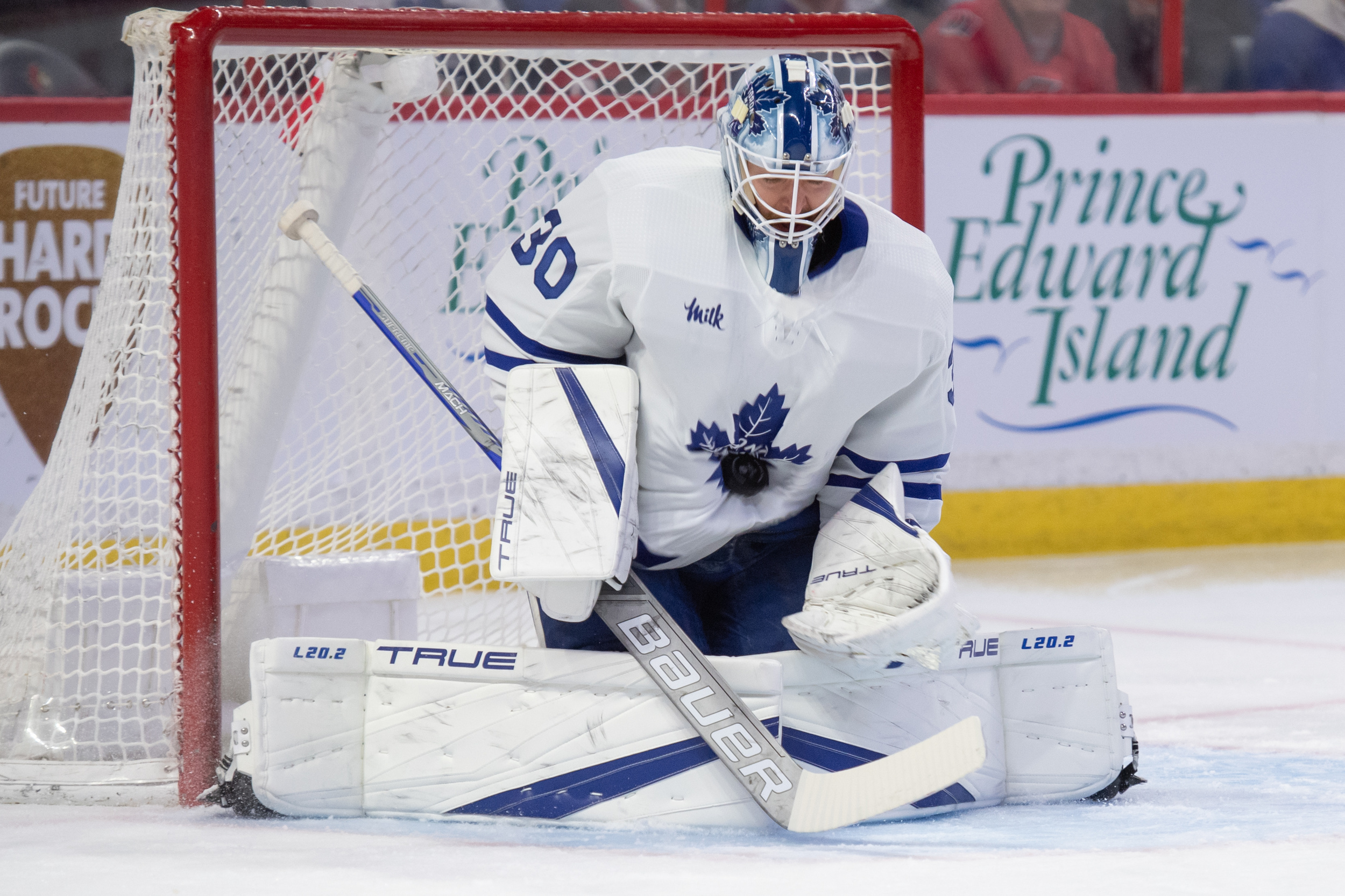 maple leafs assign veteran goaltender to ahl on conditioning loan