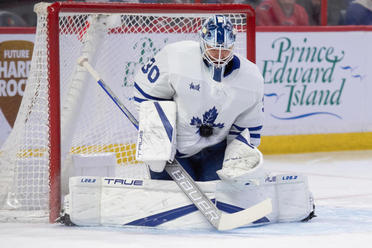 Maple Leafs assign veteran goaltender to AHL on conditioning loan