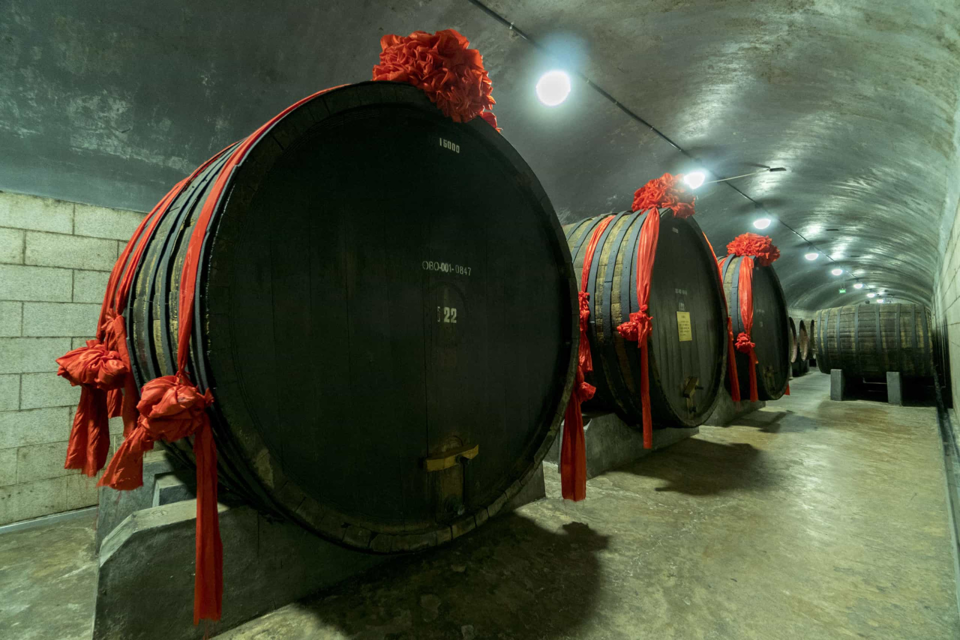 Fascinating wine cellars through the ages