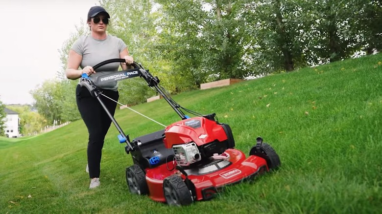 every major lawn mower brand ranked worst to best