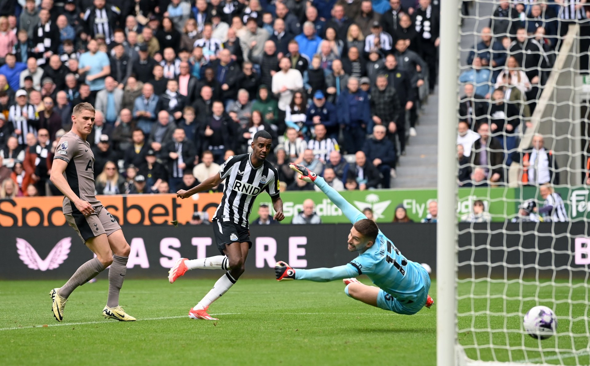 james maddison issues apology after tottenham hammering at newcastle united
