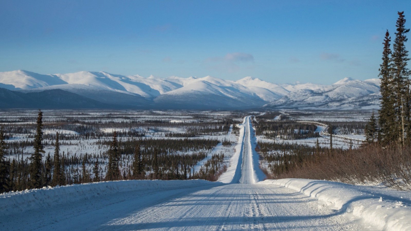 <p>Explore one of the most remote roads in northern Alaska for a real road trip adventure. Get ready to spot moose and grizzly bears while driving to the Arctic Circle to witness the phenomenon of the midnight sun during the summer months or to catch a glimpse of the Northern Lights during the winter.</p><p>Along the way, stop at some famous eateries such as Yukon River Camp or the Arctic Circle Trading Post. Photo opportunities include Finger Mountain and the Gates of the Arctic National Park.</p>