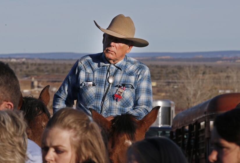 bundy cattle still grazing disputed rangeland, 10 years after protesters' armed standoff with feds