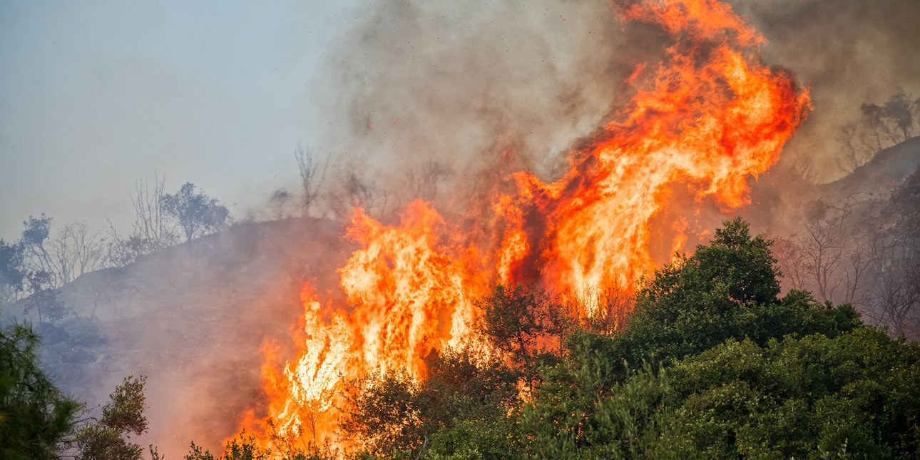 πήλιο: φωτιά κοντά στο χωριό μούρεσι -πνέουν ισχυροί άνεμοι
