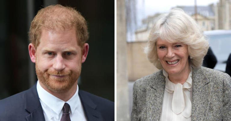 Queen Camilla's Son Responds to Prince Harry: Author Counters Duke's ...