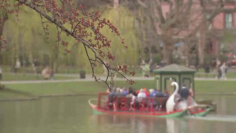 Swan boats return for 2024 season