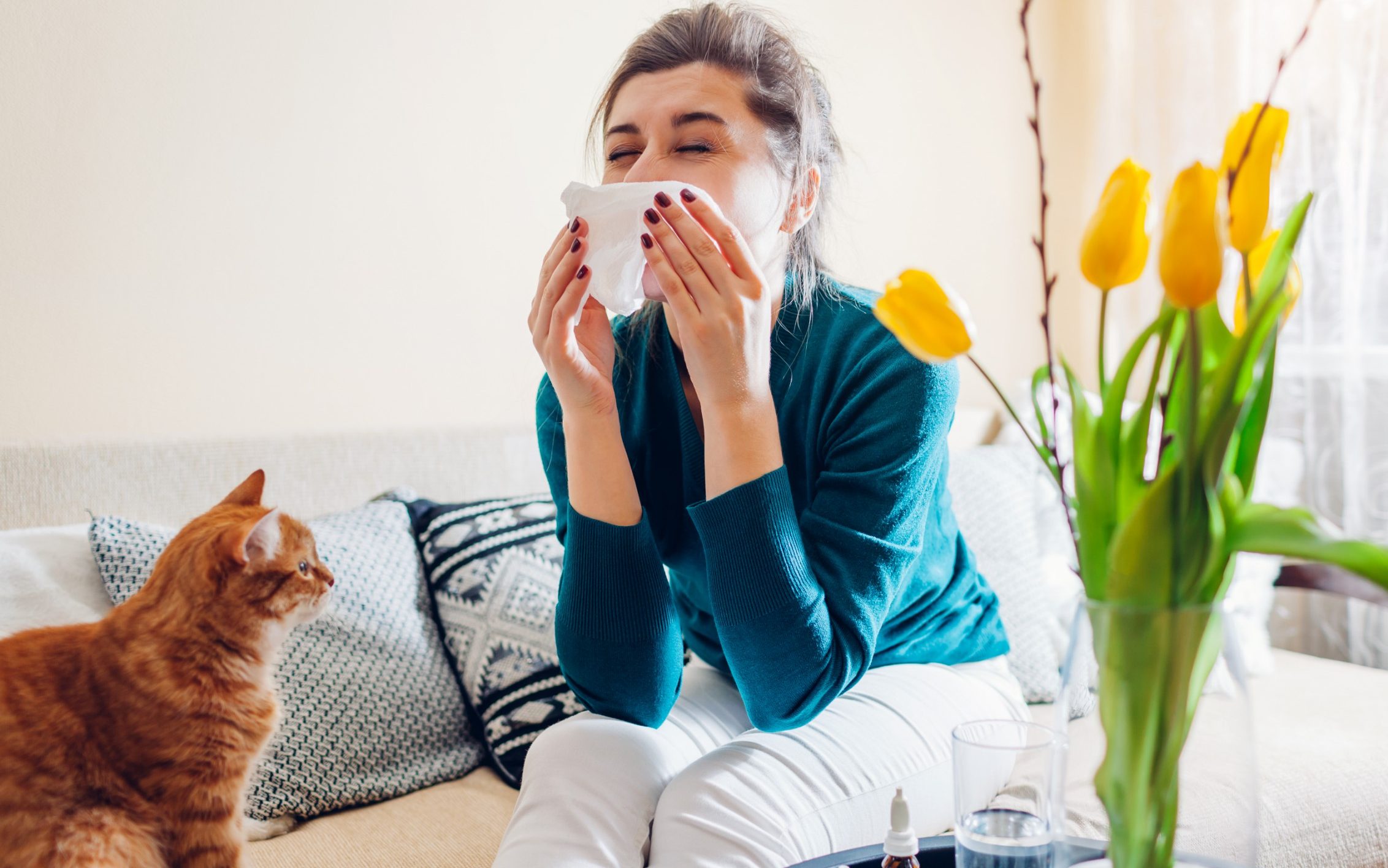 why your house might be making your hayfever worse, and what to do about it