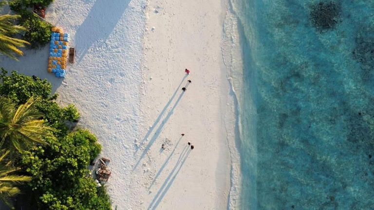 The number of Indian tourists travelling to Maldives dropped significantly this year.