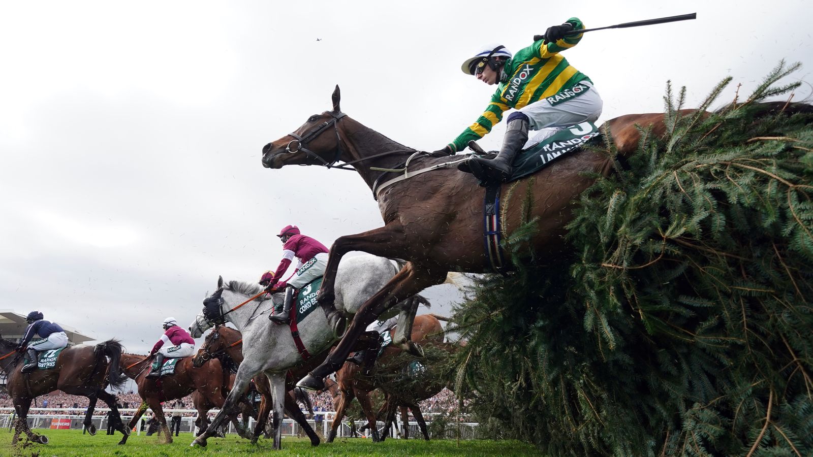 i am maximus wins grand national - and no horses fall at this year's event