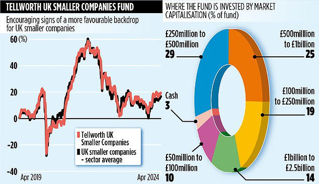 Tellworth Uk Smaller Companies: Fund That Buys When Firms Are 'toddlers 