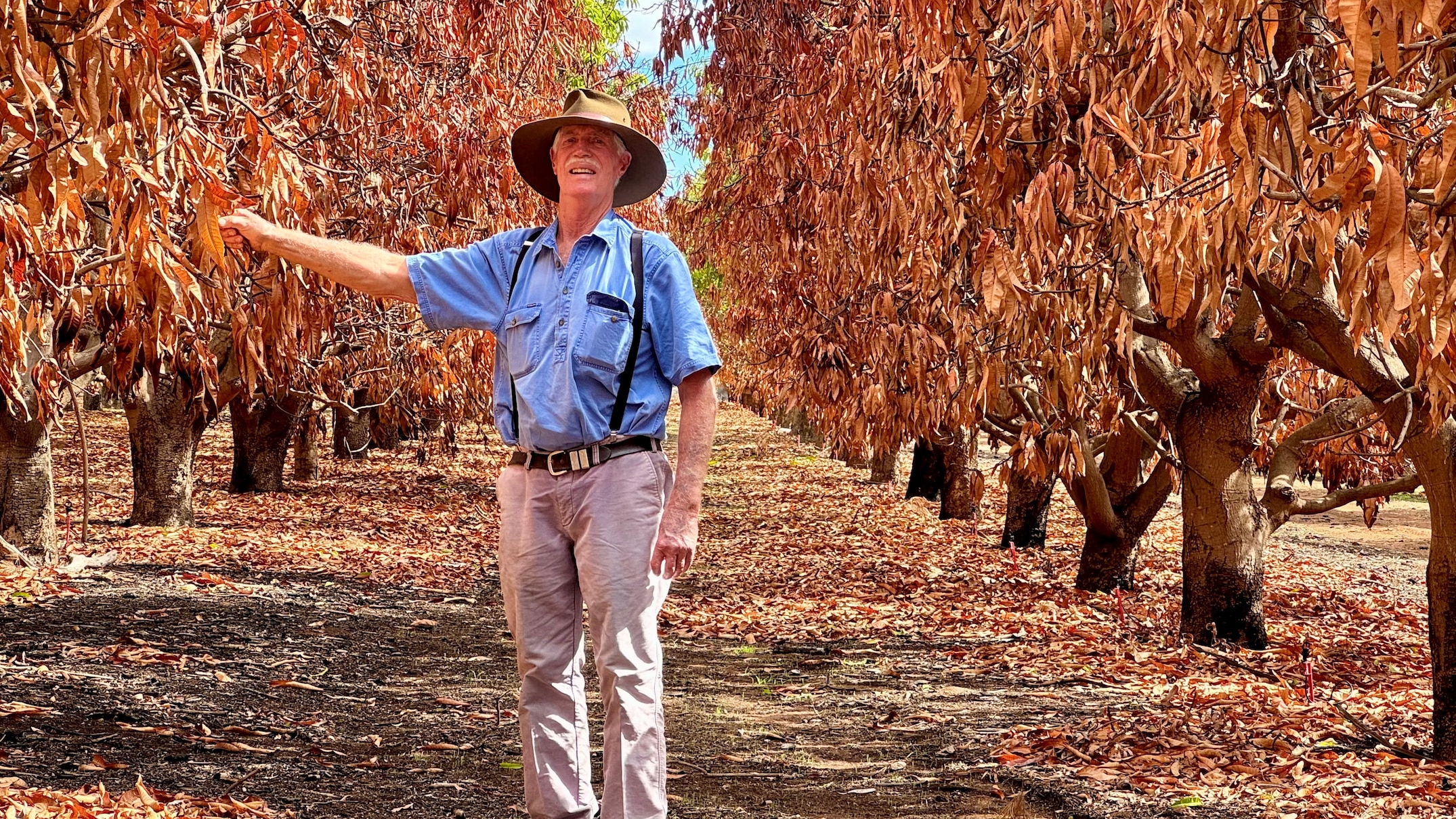 years of rebuilding ahead for fruit growers after devastating fires at gingin and chittering
