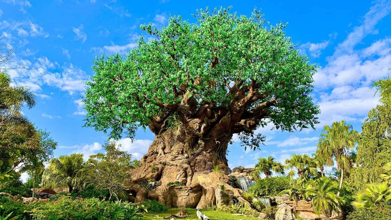 <p>Disney’s Animal Kingdom offers a unique blend of nature and adventure. Explore the wildlife of Africa and Asia and come face to face with dinosaurs and mythical creatures like the legendary yeti. Animal Kingdom has a lot of great opportunities for guests to get up close and personal with some of the park’s animals.</p> <p>Visitors to Disney’s Animal Kingdom can observe a diverse range of animals from around the world. The 580-acre park is well-known for its exceptional attention to detail and landscaping. Animal Kingdom is dedicated to the theme of the natural environment and animal conservation, a concept that <a href="https://wealthofgeeks.com/best-animated-family-films-not-made-by-disney/">Walt Disney</a> himself introduced and championed.</p>