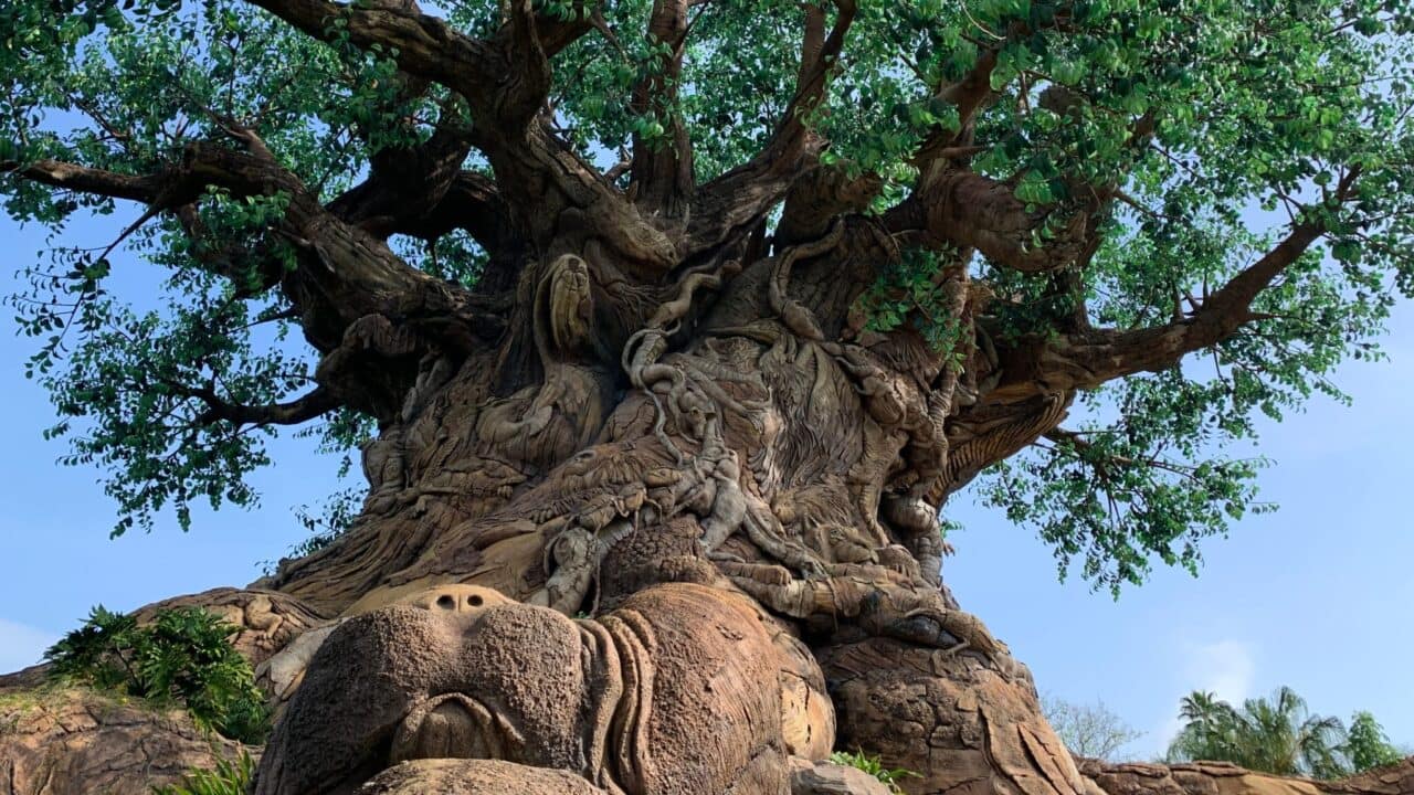 <p>Upon entering <a href="https://bhonestmedia.com/2024/01/guide-to-disneys-animal-kingdom.html" rel="noopener">Animal Kingdom</a>, you will find yourself in The Oasis, a beautiful landscape filled with tropical gardens and gentle waterfalls. While exploring The Oasis, you will encounter various animals, including anteaters, babirusas, barking deer, wallabies, and spoonbills.</p>