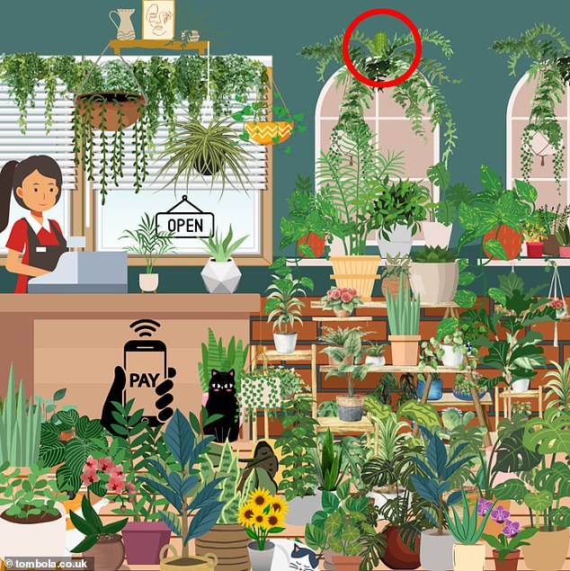amazon, can you spot the hidden cactus in 9 seconds in this brainteaser?