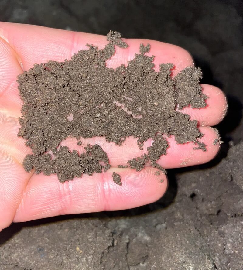 gardener raises concern after examining new order of soil: 'it was rather cheap, should have known'