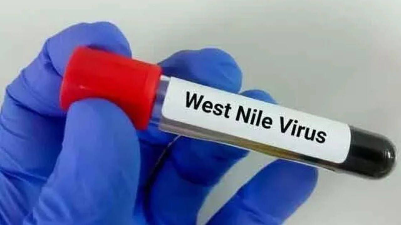 kerala west nile fever: alert in 3 districts amid spike in cases, health minister issues directives