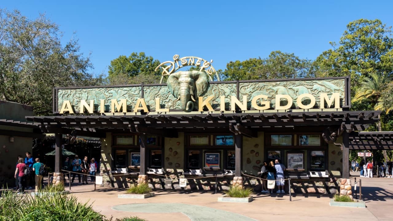 <p>When you enter Disney’s Animal Kingdom, you can visit all the animals for no additional cost. The animals are spread throughout the park and can be easily accessed through beautifully landscaped pathways.</p>