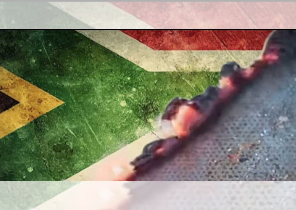 government to take action against da over burning flag ad?